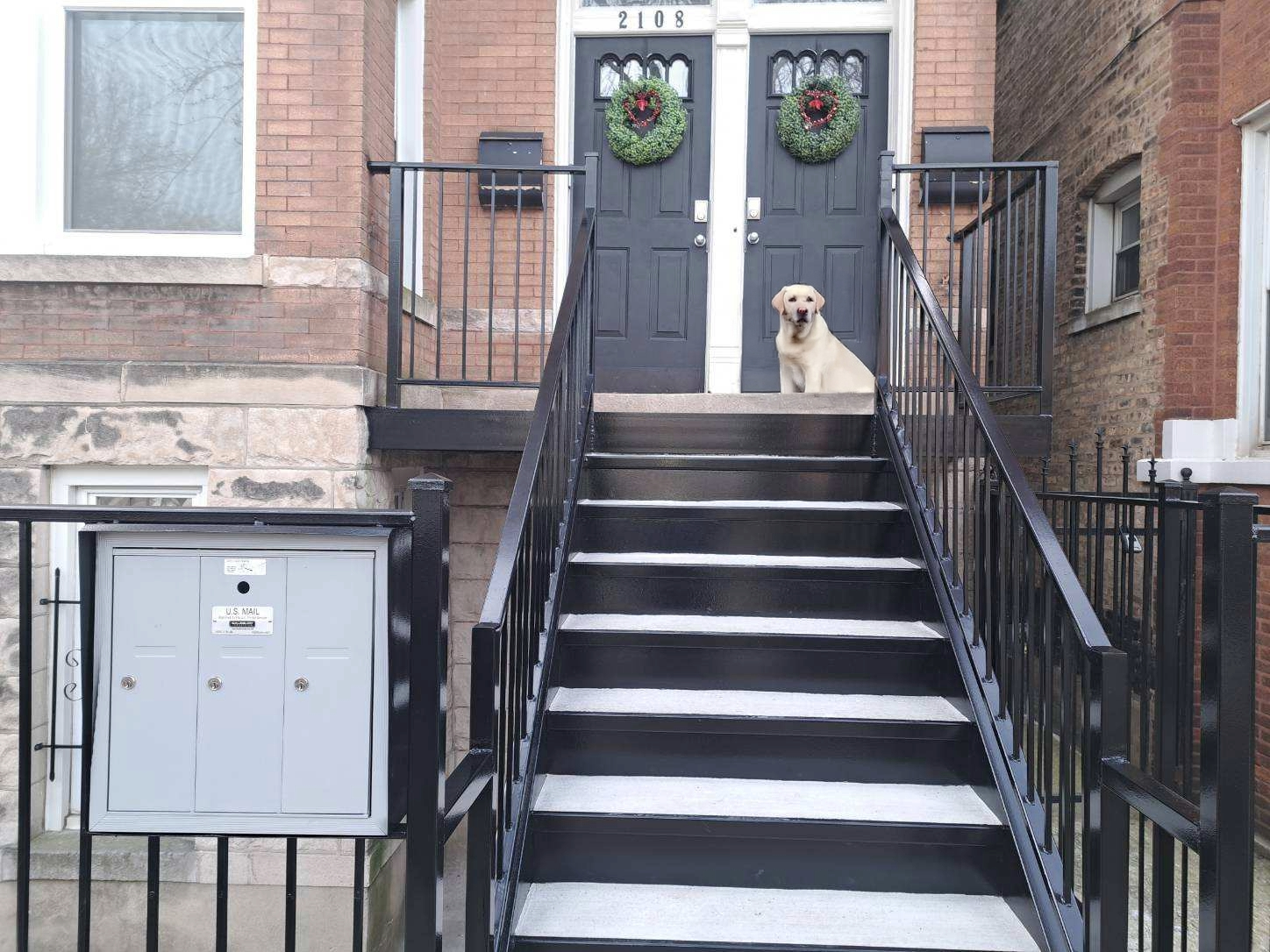 A friendly Labrador Retriever sits at the top of a black metal staircase on a classic Chicago brick porch. The porch features sturdy railings, double black doors decorated with festive wreaths, and a secure mailbox mounted on the front fence. The mix of brick, stone, and metal details creates a welcoming urban entrance.