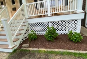 White porch stairs and lattice with green shrubs on a mulched bed.